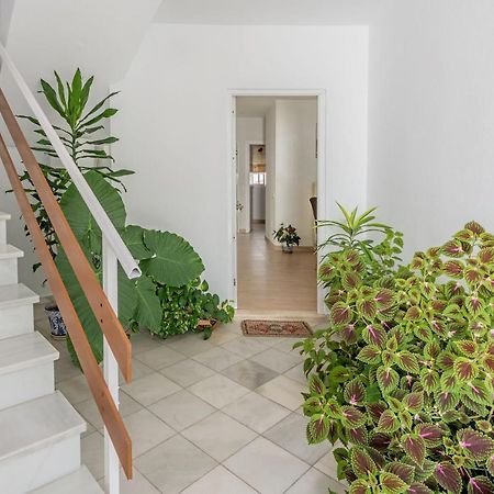 Apartamento Los Naranjos En Vejer Vejer de la Frontera Kültér fotó